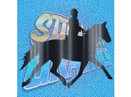 Horse Rider 002