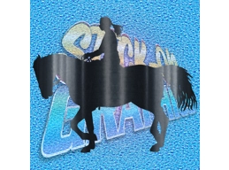 Horse Rider 003