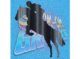 Horse Rider 004