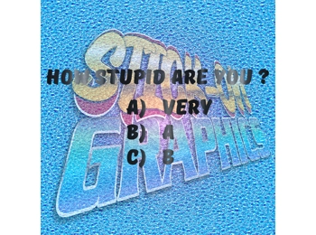 How Stupid Are You