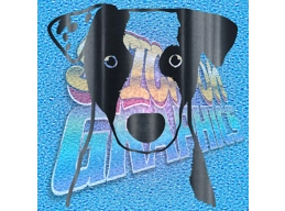 Jack Russell 004