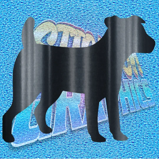Jack Russell 006