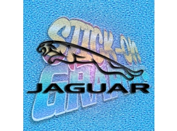 Jaguar Left