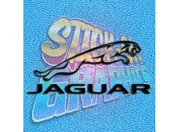 Jaguar Right