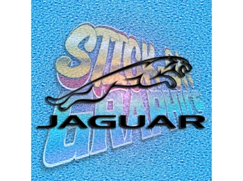 Jaguar Right