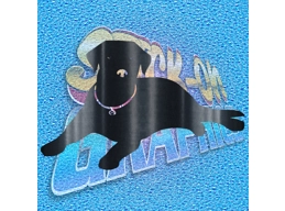 Labrador 001