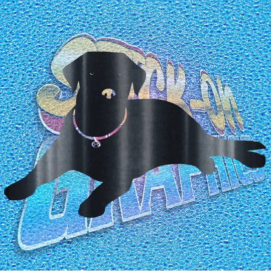 Labrador 001