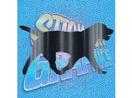 Labrador 002