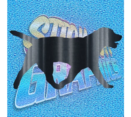 Labrador 002