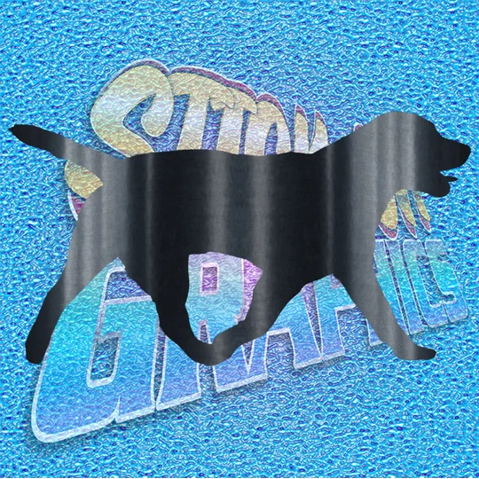 Labrador 002