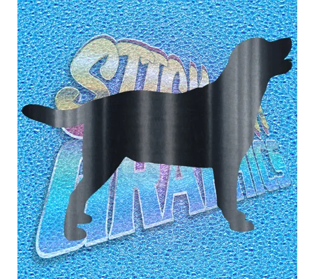 Labrador 003