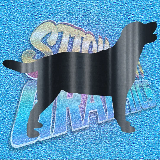 Labrador 003