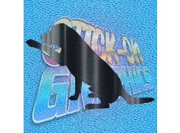 Labrador 004