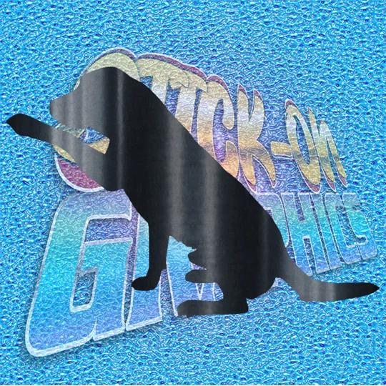 Labrador 004