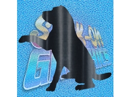 Labrador 005