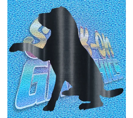 Labrador 005
