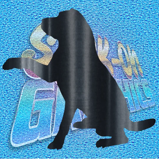 Labrador 005