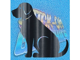 Labrador 007