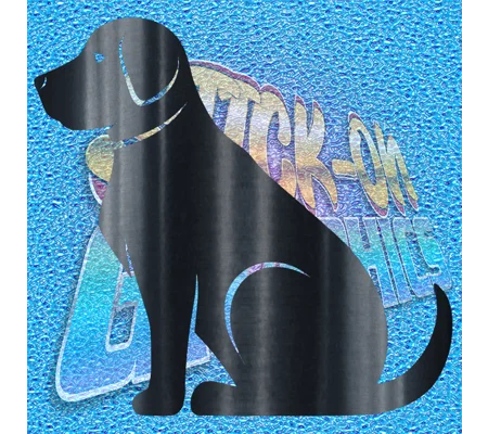 Labrador 007