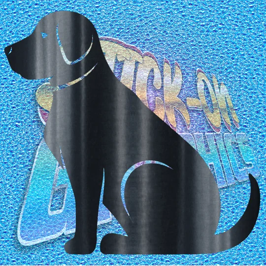 Labrador 007