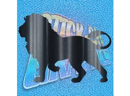 Lion 001