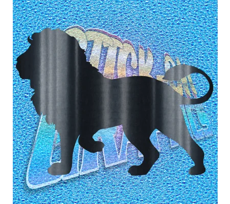 Lion 001