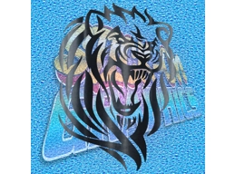Lion 002