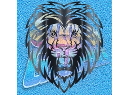 Lion 006
