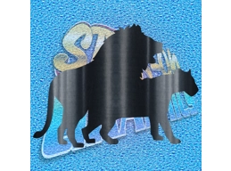 Lions 001