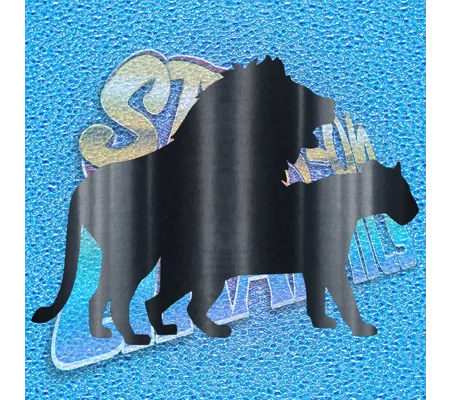 Lions 001