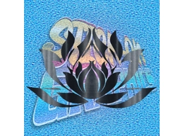 Lotus 003