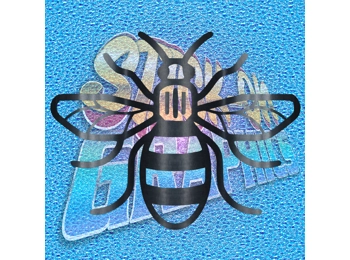 Manchester Bee