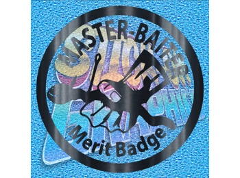 Master Baiting Merit