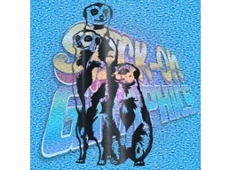Meercats 001