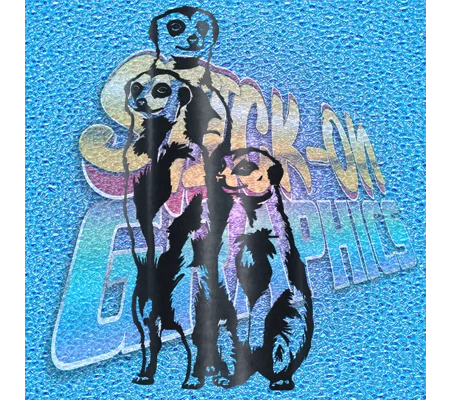 Meercats 001