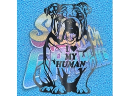 New English Bulldog 100