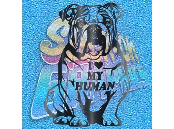 New English Bulldog 100