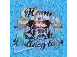 New English Bulldog 102