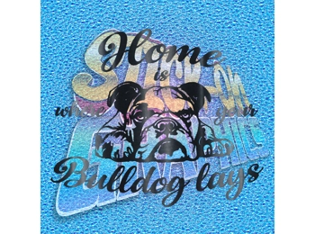 New English Bulldog 102