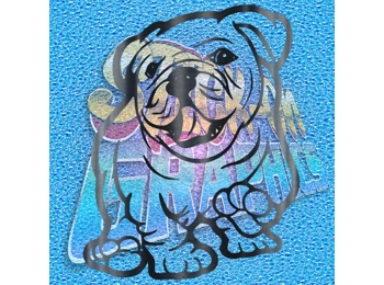 New English Bulldog 015