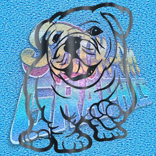 New English Bulldog 015