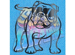 New English Bulldog 016 wT