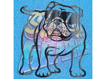 New English Bulldog 016 wT