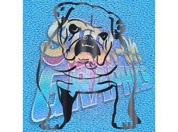 New English Bulldog 024