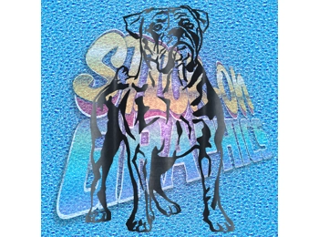 New English Bulldog 027