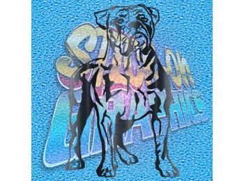 New English Bulldog 027 wT