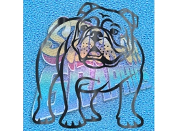 New English Bulldog 030