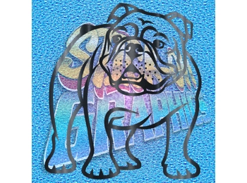 New English Bulldog 030