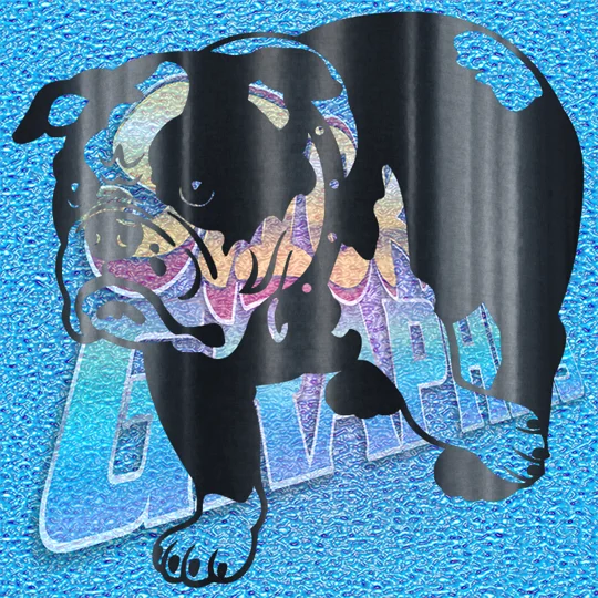 New English Bulldog 033