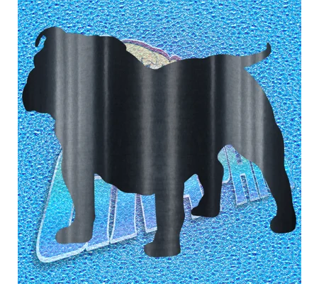 New English Bulldog 034 wT